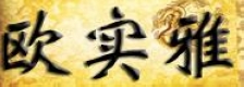 欧实雅木门_烤漆门
