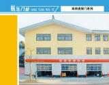 南桥商用透视门