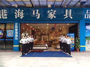 海马家具,海马床垫,,弹簧床垫,乳胶床垫,乳胶枕头,床垫批发直销