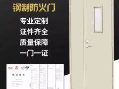 蜀山区 庐阳区 包河区钢质防火门厂家直供 一樘起批